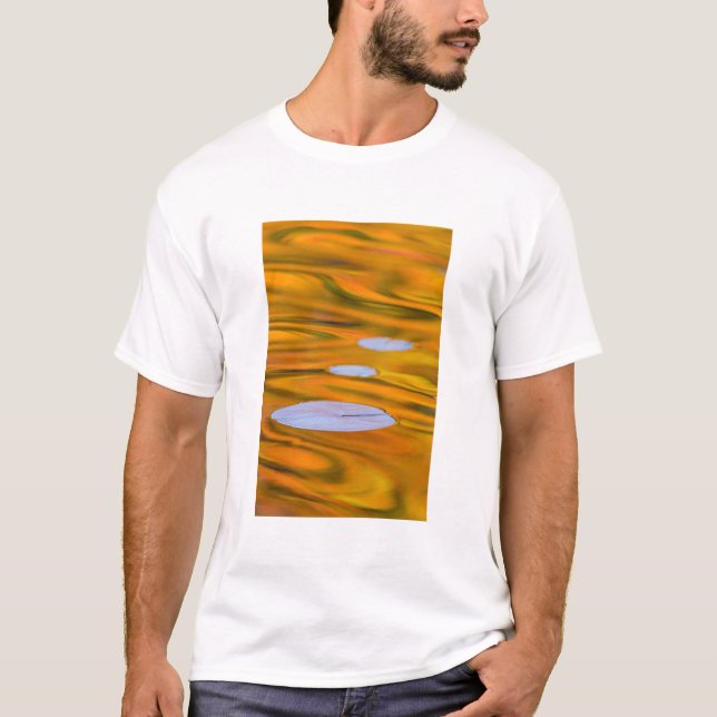 Camiseta Almohadilla en agua naranja, Canadá (Anverso)
