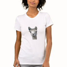 Alpaca Alpakka Alpaka Alpaga