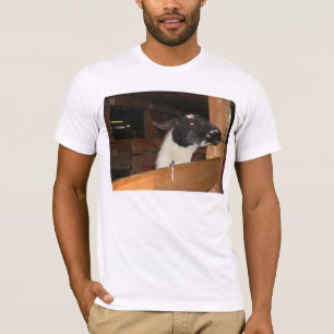 Camiseta Alpaca no una llama