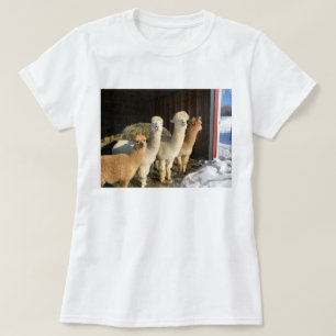 Camiseta - Alpacas en el Sol Invierno