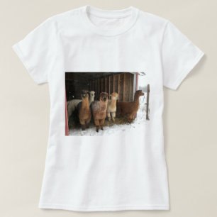 Camiseta - Alpacas en la Nieve