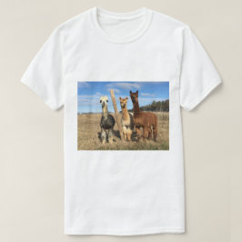 Camiseta - Alpacas Phaethon, Barley y Marvin