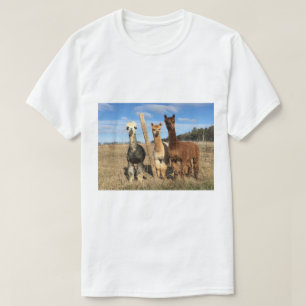 Camiseta - Alpacas Phaethon, Barley y Marvin