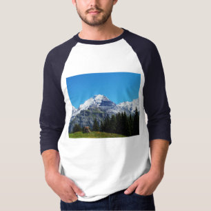 Camiseta Alpes suizos