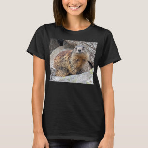 Camiseta Alpine Marmot Tee
