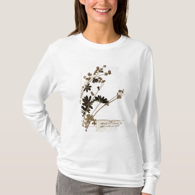 Camiseta Alquimila, de un herbario (Anverso)