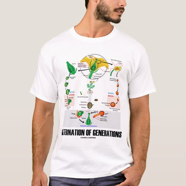Camiseta Alternación de las generaciones (flor) (Anverso)