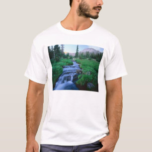 Camiseta ALTO UINTAS WILDERNESS, UTAH. Stillwater Fork