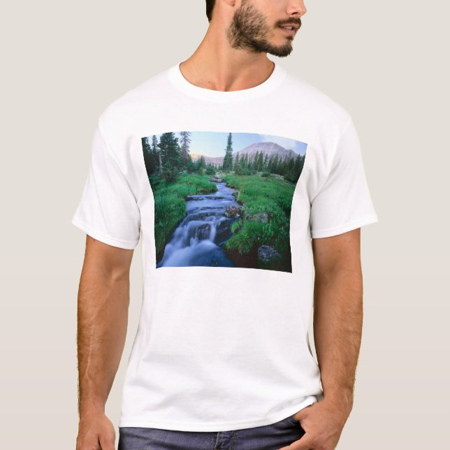 Camiseta ALTO UINTAS WILDERNESS, UTAH. Stillwater Fork (Anverso)