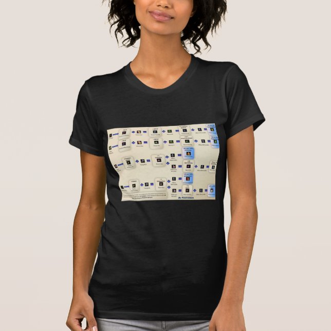 Camiseta Alxeimia Metin2 (Anverso)