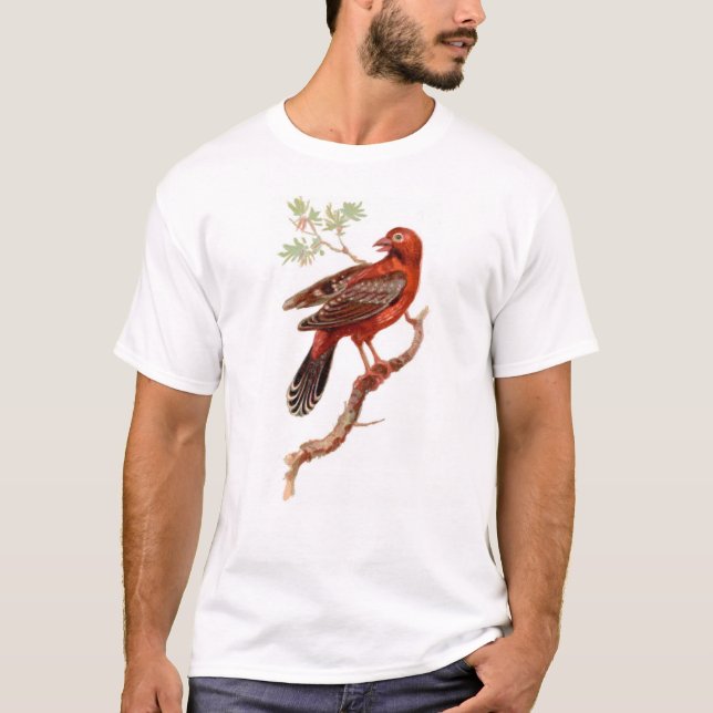 Camiseta amandava en blanco (Anverso)