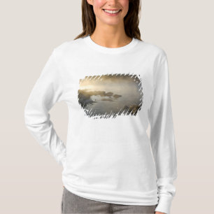 Camiseta Amanecer a través de la niebla en Anderson Bay, Ll