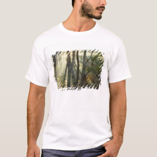 Camiseta Amanecer a través del bosque de roble y nogal,