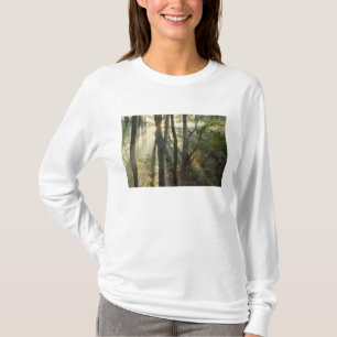 Camiseta Amanecer a través del bosque de roble y nogal,