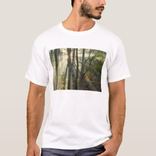 Camiseta Amanecer a través del bosque de roble y nogal amer