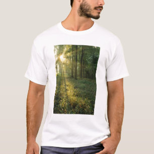 Camiseta Amanecer a través del bosque de roble y nogal, Mam