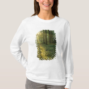 Camiseta Amanecer a través del bosque de roble y nogal, Mam