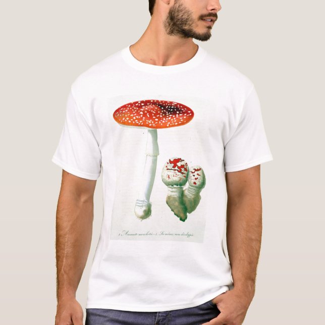 Camiseta Amanita Muscaria de "Phytographie Medicale" por J (Anverso)