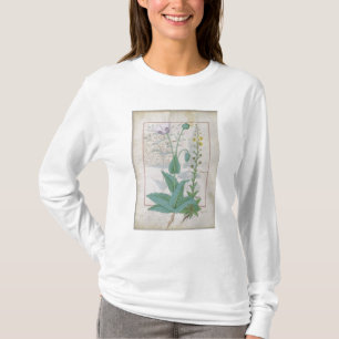 Camiseta Amapola y Figwort