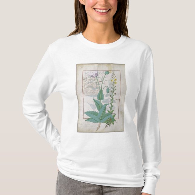 Camiseta Amapola y Figwort (Anverso)