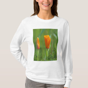 Camiseta Amapolas doradas de California en un campo verde