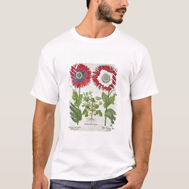 Camiseta Amapolas ornamentales, del 'Hortus el Eystettensis (Anverso)