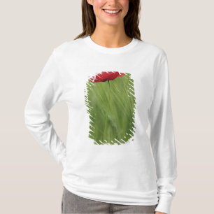 Camiseta Amarilla flor de amapola entre el cultivo de trigo