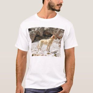 Camiseta amarillo réflex lleno