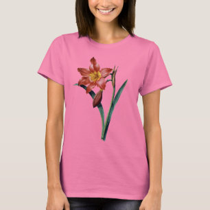 Camiseta Amaryllis