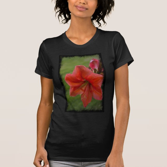 Camiseta Amaryllis (Anverso)