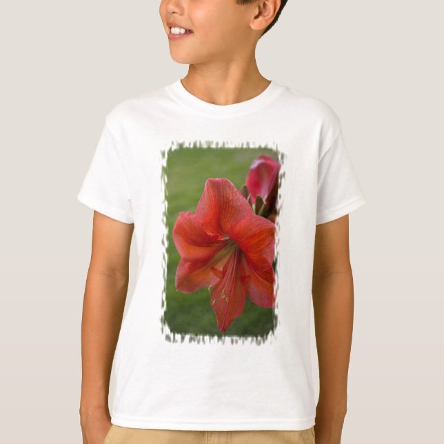 Camiseta Amaryllis (Anverso)
