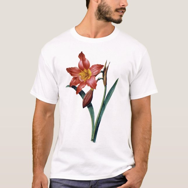 Camiseta Amaryllis (Anverso)