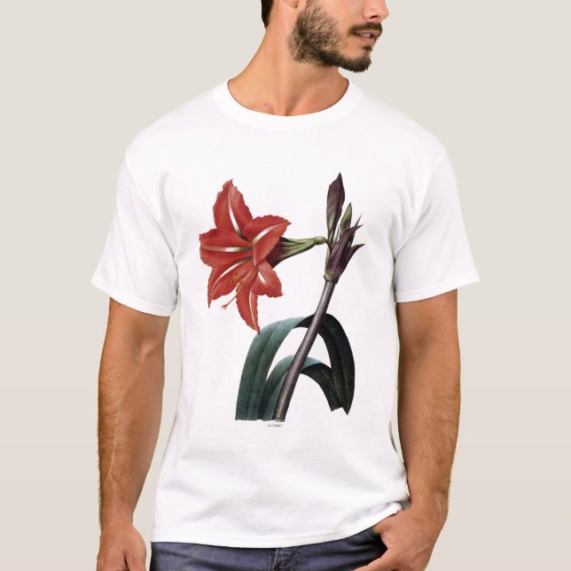 Camiseta Amaryllis rayado (Anverso)