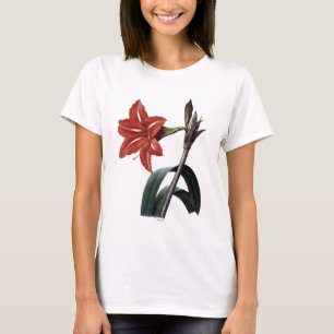 Camiseta Amaryllis rayado