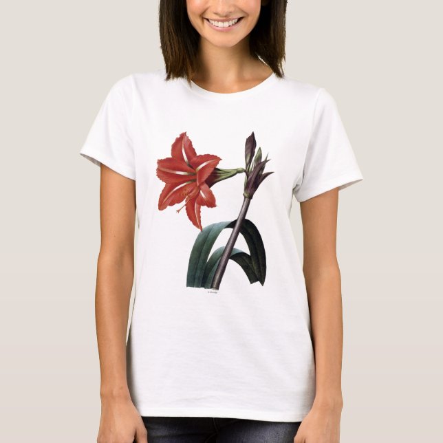 Camiseta Amaryllis rayado (Anverso)