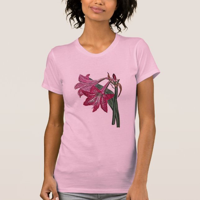 Camiseta Amaryllis Reticulata (Anverso)