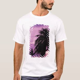 Camiseta Ambergris Caye, Belice, Centroamérica.