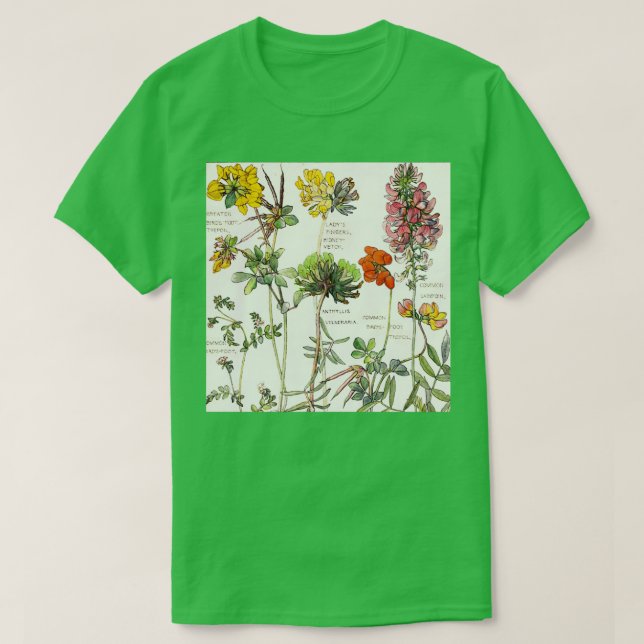 Camiseta Ambrosia V (Diseño del anverso)