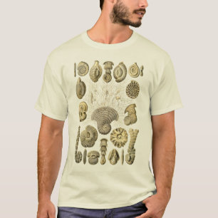 Camiseta Ameba