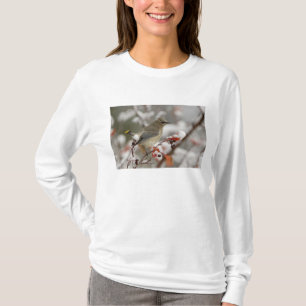 Camiseta Ameloncillo de cedro adulto en espino albar con ni