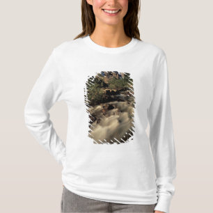Camiseta América del Norte, Canadá, Canadian Rockies, Ban