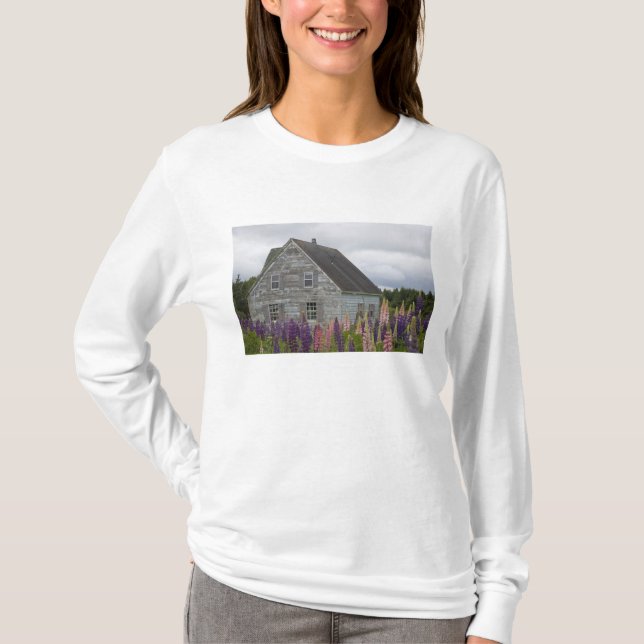 Camiseta América del Norte, Canadá, Isla del Príncipe Eduar (Anverso)