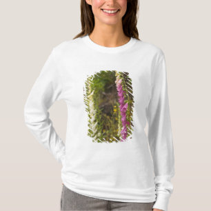 Camiseta América del Norte, Canadá, Islas Queen Charlotte