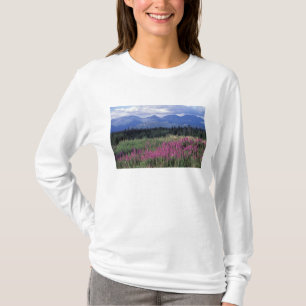 Camiseta América del Norte, Canadá, Yukón. Epilobio florece
