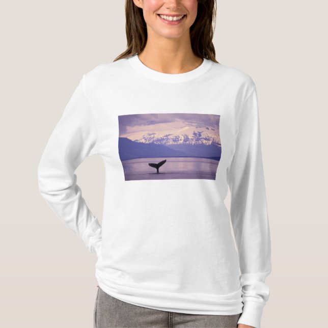 Camiseta América del Norte, EE.UU., Alaska, Paso interno. (Anverso)