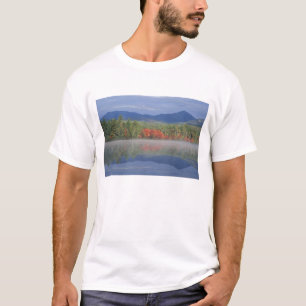 Camiseta América del Norte, EE.UU., NH, reflecciones de oto