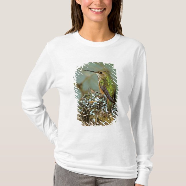 Camiseta América del Norte, Estados Unidos, Alaska. Rufous  (Anverso)