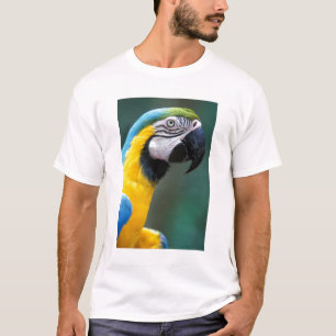 Camiseta América del Sur, Brasil, Parque Nacional Iguazú,
