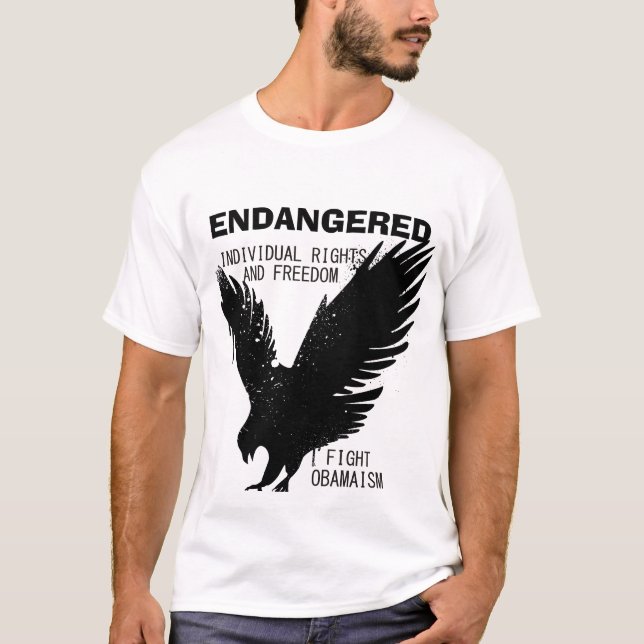 Camiseta American Eagle (Anverso)