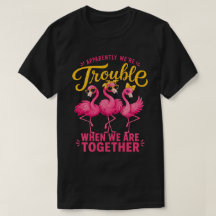 Amigas Flamingo Traviesas Grupo Problemático